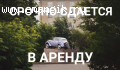 СДАМ ОДНОКОМНАТНУЮ КВАРТИРУ